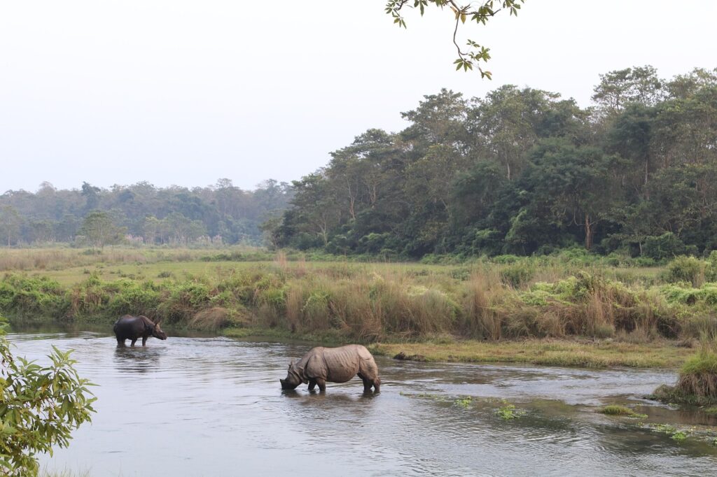 チトワン国立公園の画像