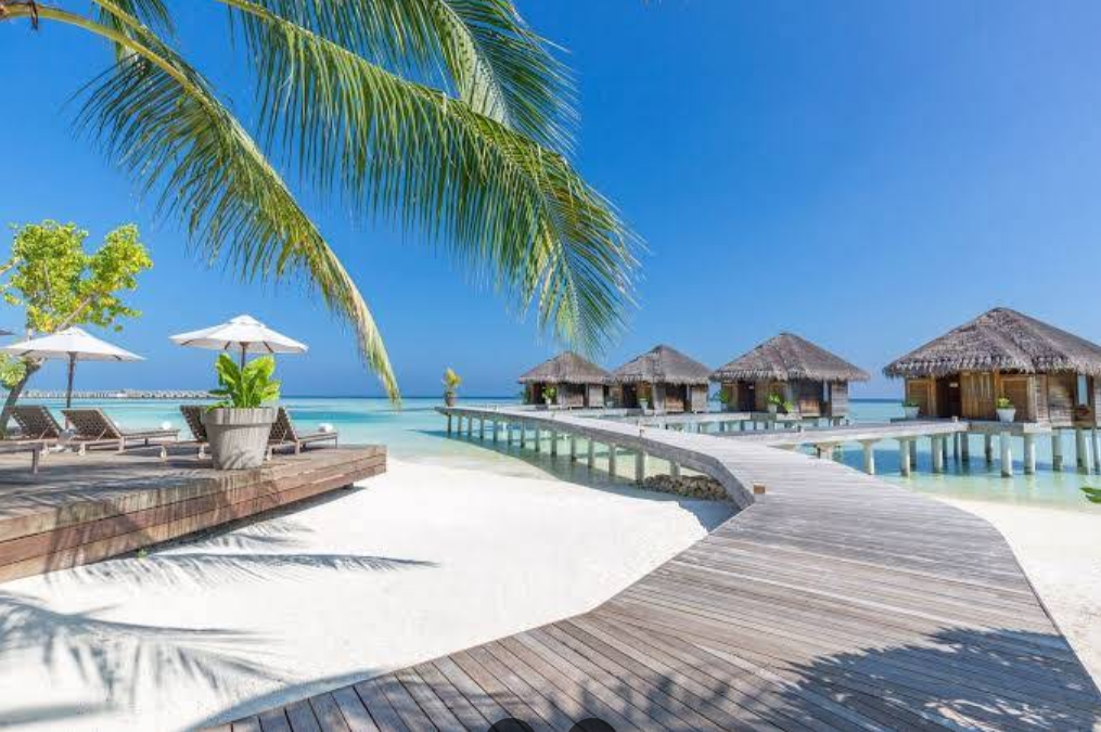 アリ環礁(Ari Atoll)の画像