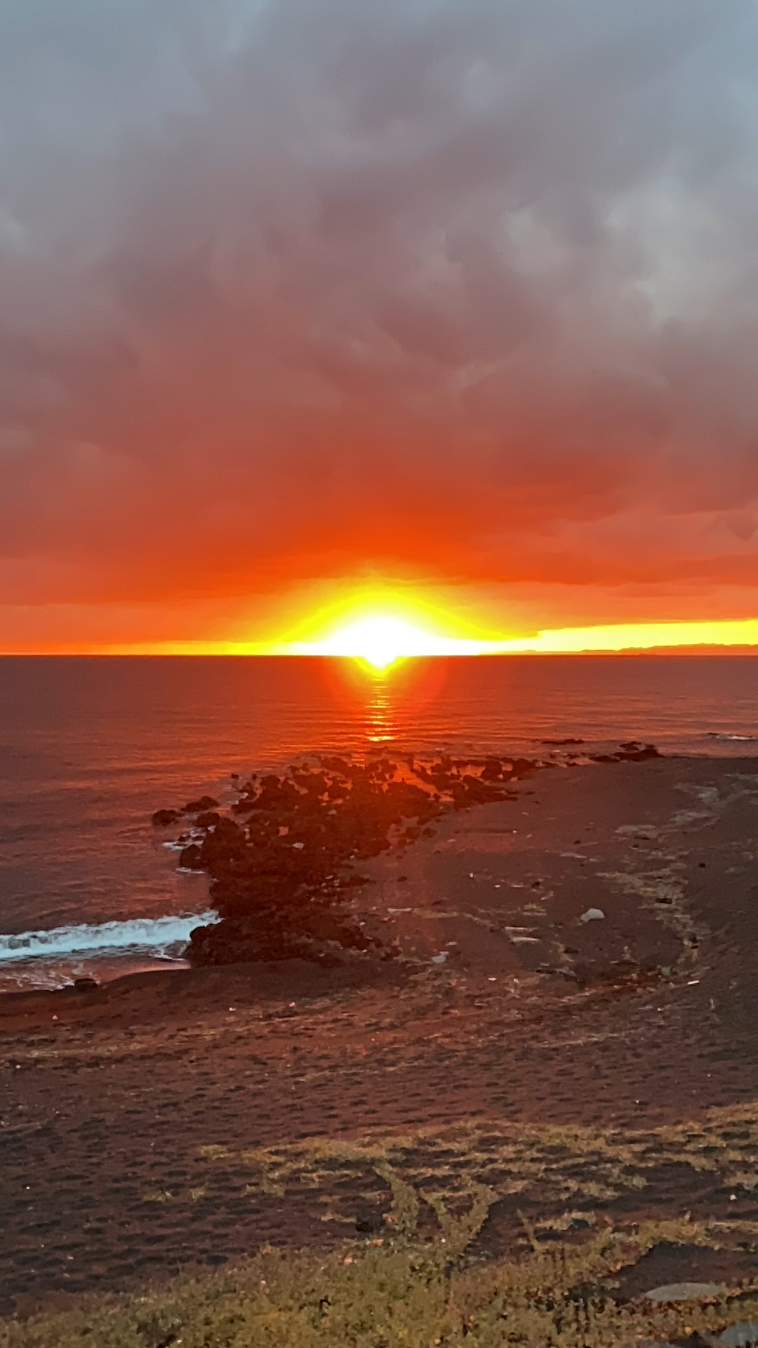 龍潭寺 春の特別展示：「井伊家展」「井伊家御霊屋特別公開」