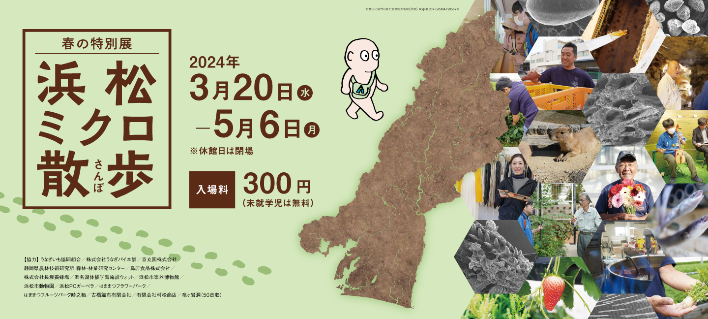 東京都自転車競技連盟HPより　2022年全日本マスターズ選手権タイムトライアル大会　上段:野田浜　下段:御神火温泉