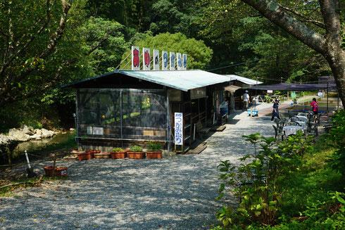竜ヶ岩洞あゆ狩り園(ニジマスのつかみ取り体験)