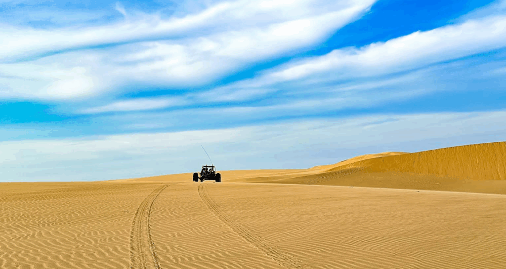 メダノスデコロの画像