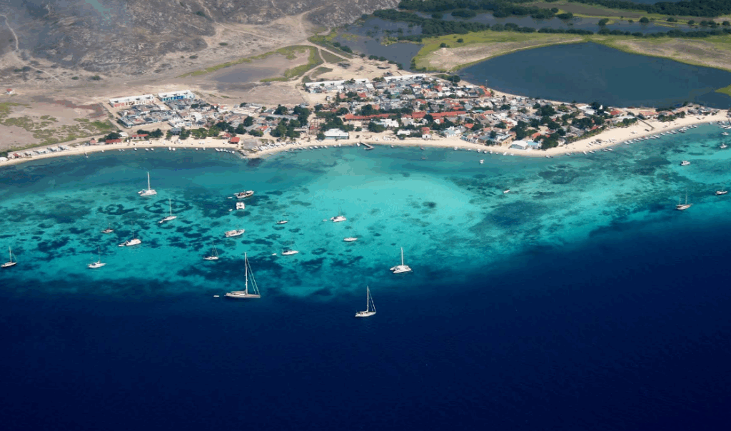 ロスロケスの画像