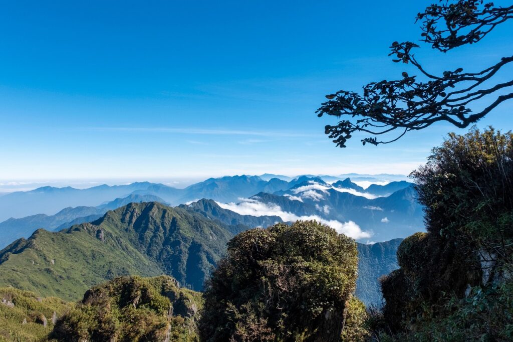 ファンシーパン山の画像