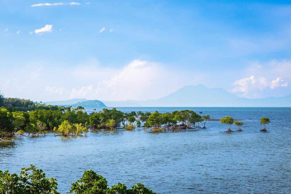 ウィッツサンデー諸島の画像