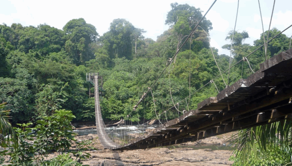 コルプ国立公園の画像